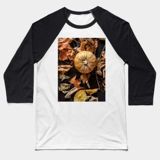 Autumnal background with dried leaves and various fruits Baseball T-Shirt